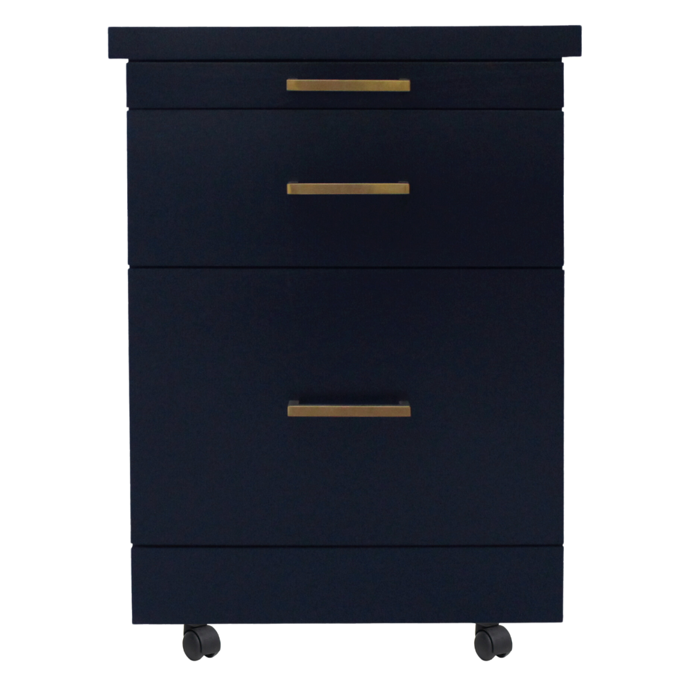 Rolling File Cabinet